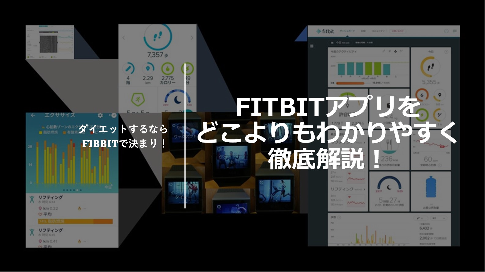 Fitbitアプリで最適なダイエット どこよりもわかりやすく徹底解説 ロジックダイエット