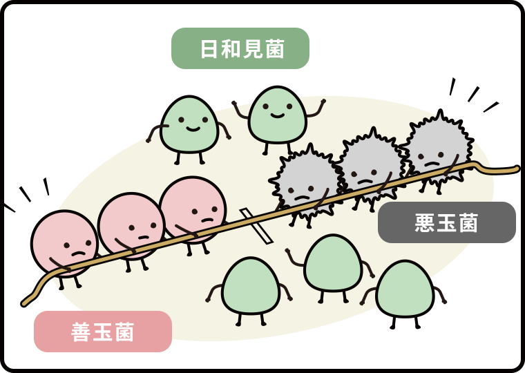 腸内細菌の説明図