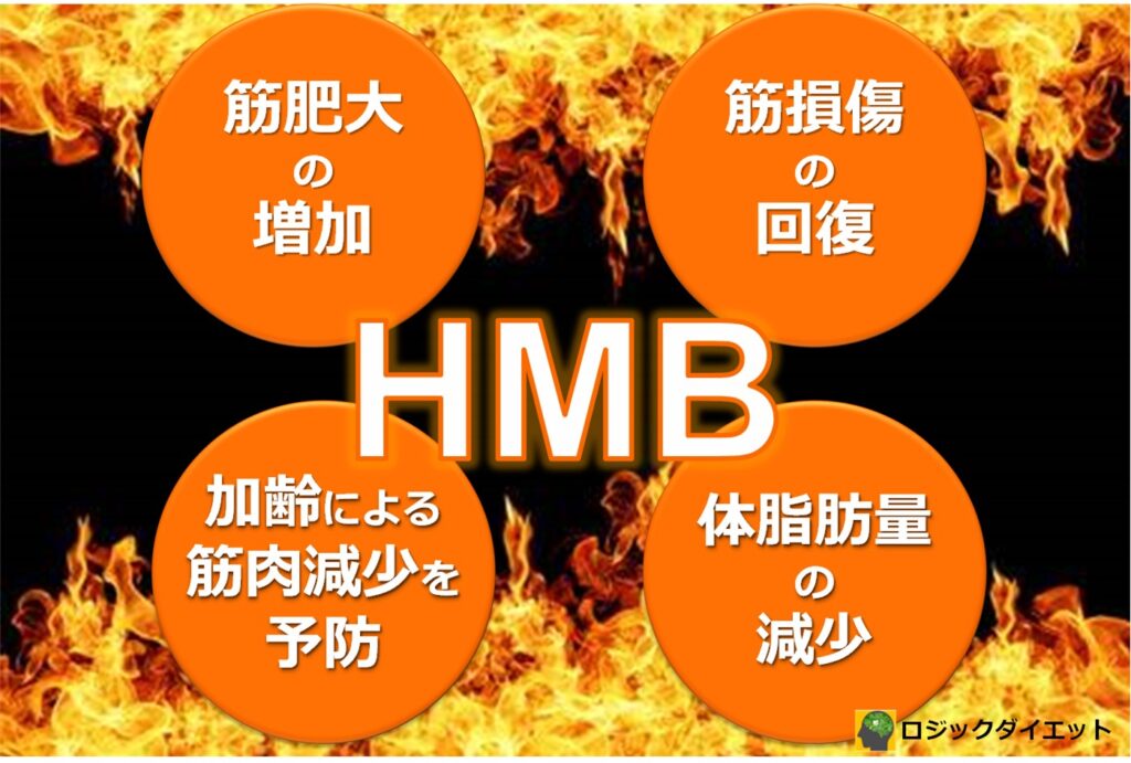 HMBの4つの効果