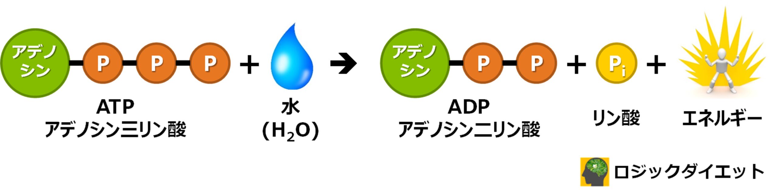 ATP化学式の図